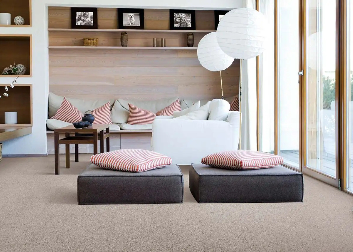 Karastan Carpet in Maple Sugar in Living Room 