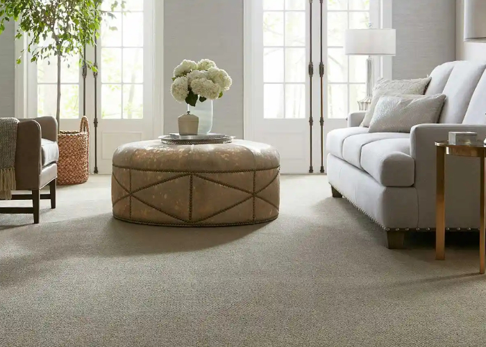 Karastan Carpet in Living Room