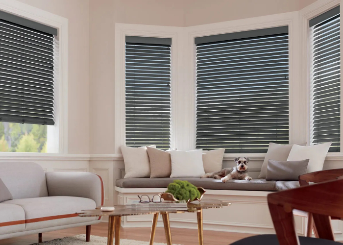 Parkland Wooden Shades in Living Room